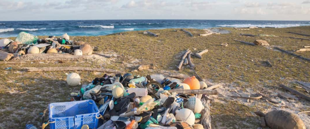 We are proud sponsors of the Aldabra Clean-Up Project
